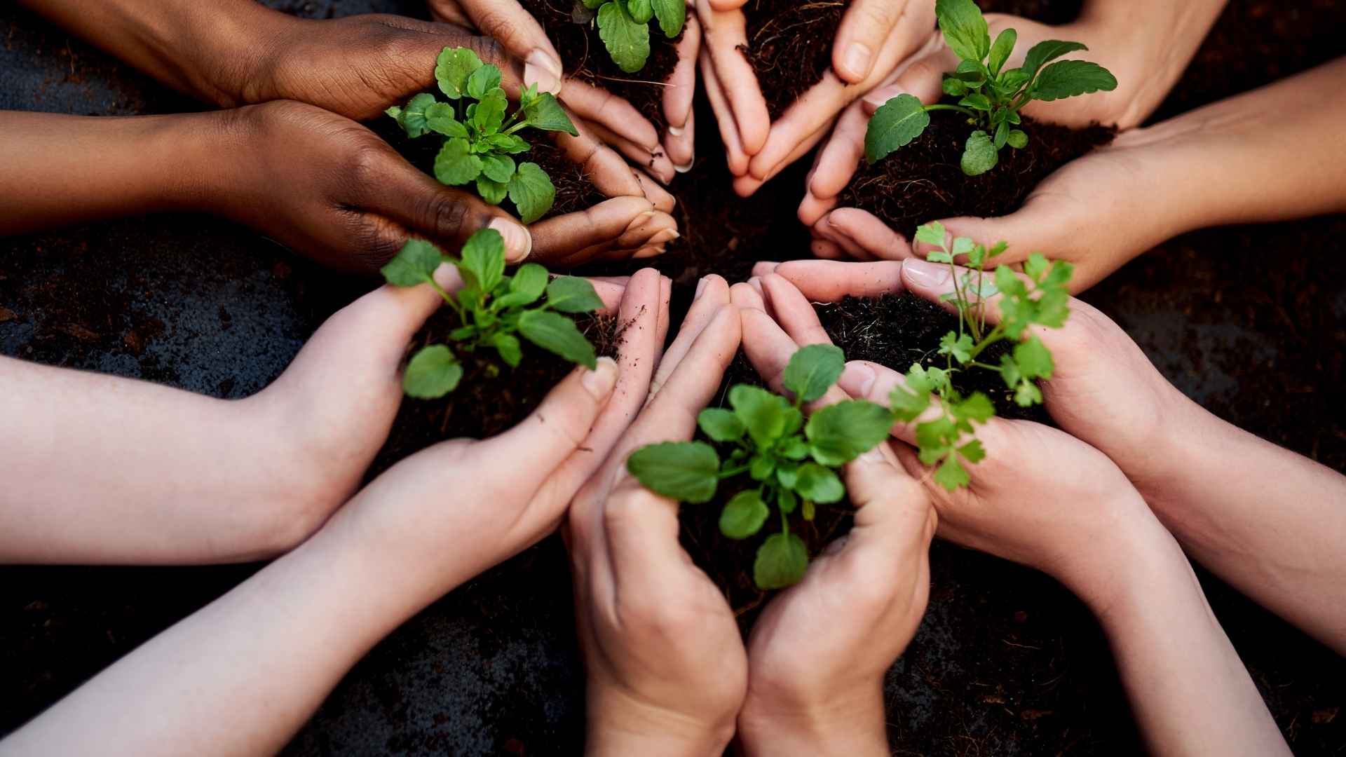 Grow in Community Grow in Community