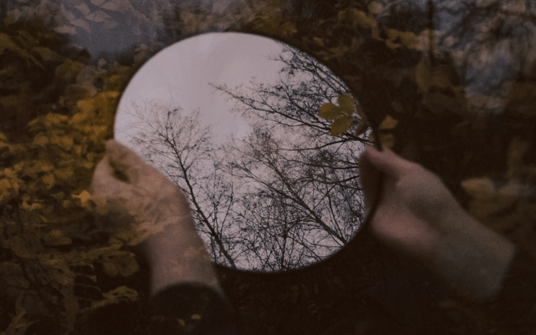 The Mirror Between Belief and Behavior