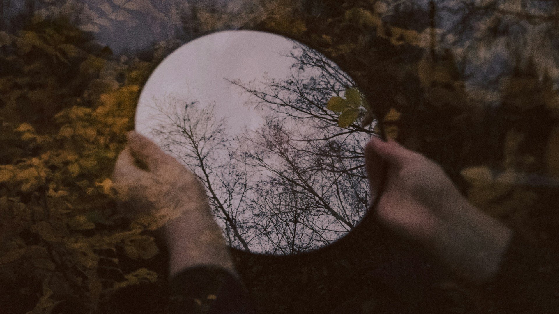 Mirror